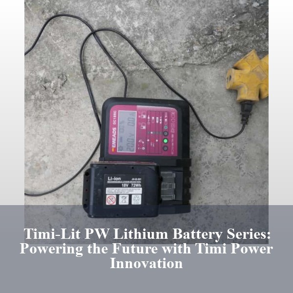 Timi-Lit PW Lithium Battery Series: Powering the Future with Timi Power Innovation
